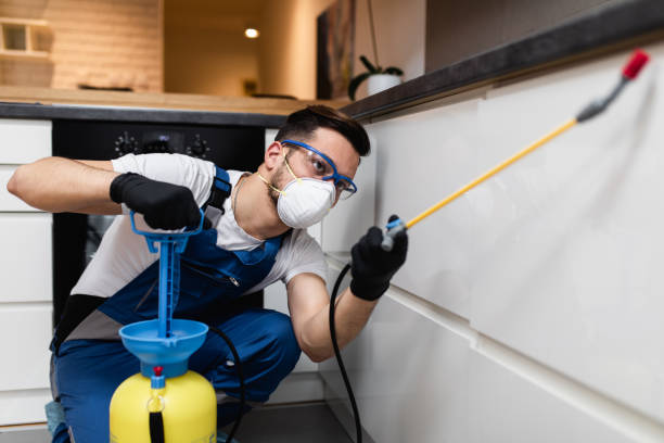 Best Wasp Removal Services  in Delisle, MS