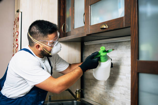 Professional Pest Control in Delisle, MS