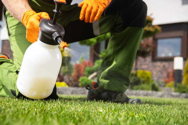 Best Emergency Pest Control  in Delisle, MS
