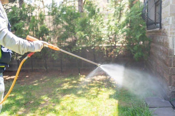 Best Flea Control Services  in Delisle, MS