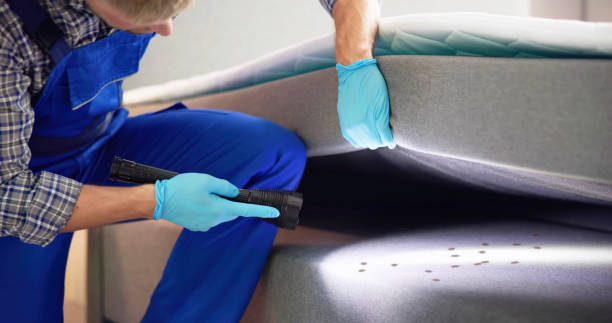 Best Best Pest Control Companies  in Delisle, MS